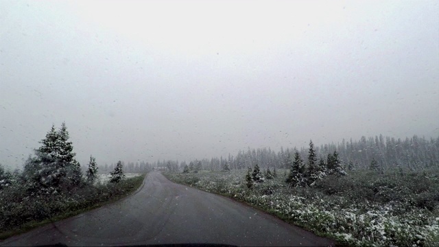 加拿大落基山脉的雪和冬天视频素材