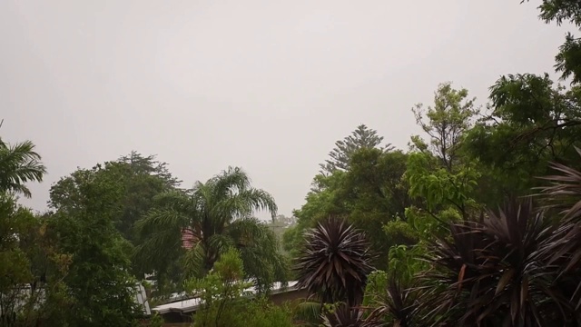 热带降雨的概念视频素材