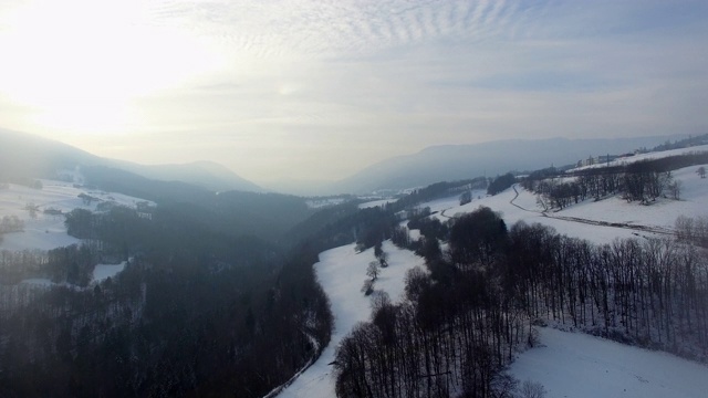 在白雪皑皑的森林上空飞翔视频素材