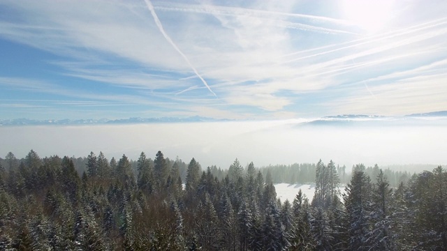 在瑞士，飞过白雪覆盖的森林，到达迷雾密布的山峰视频素材