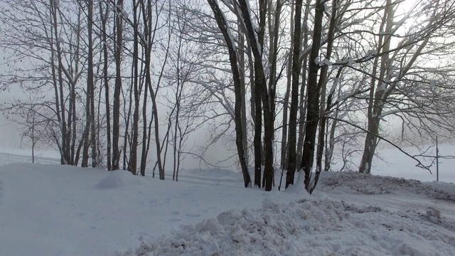 飞过公路附近白雪覆盖、雾蒙蒙的森林视频下载