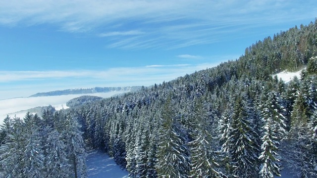 飞行在雪山森林与云彩和山脉的背景视频素材