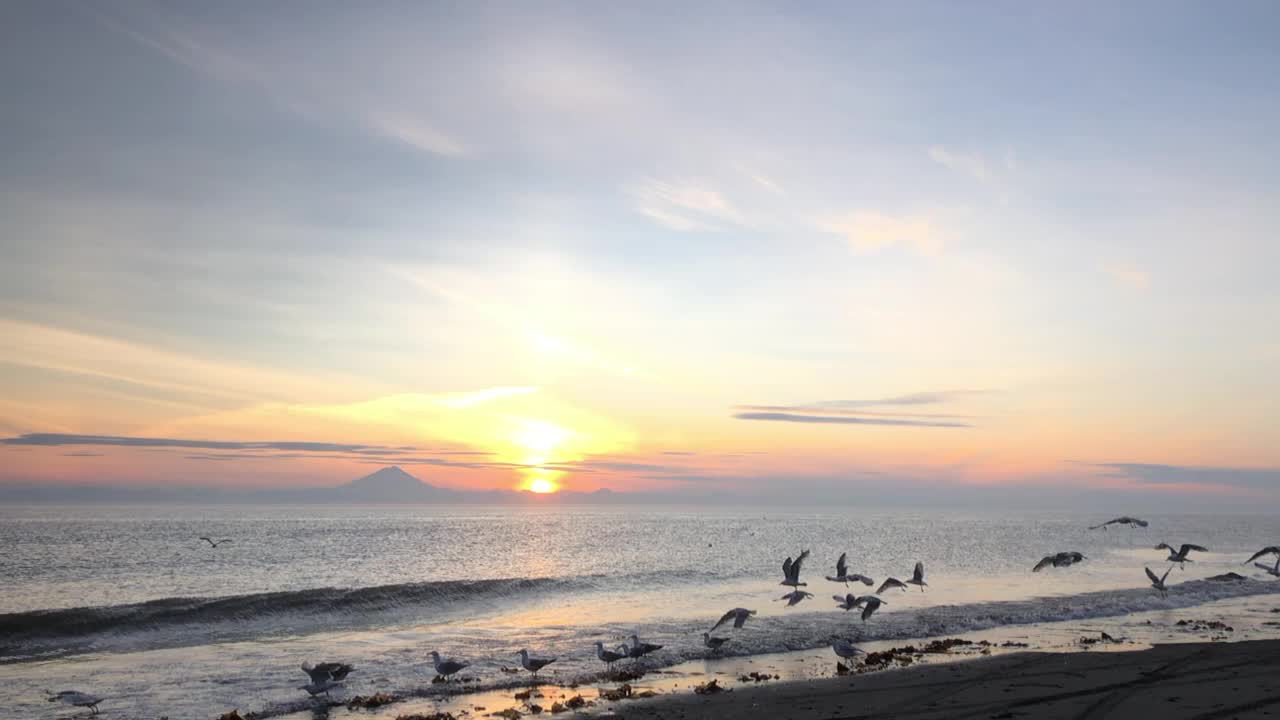 晚上11:30，日落时分，一群鸟在阿拉斯加的海洋上空缓慢飞行，背景是伊利亚姆纳火山视频下载