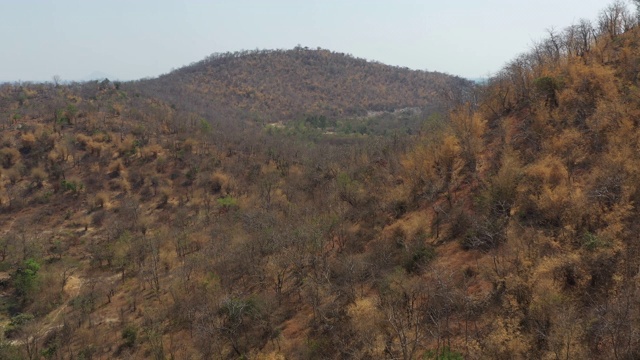 飞回山区森林气候干燥地区视频素材