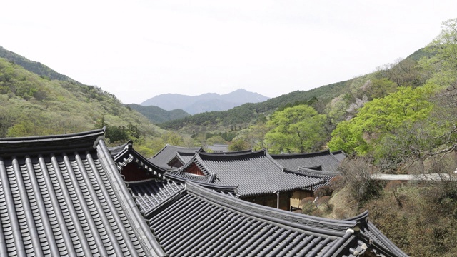 松光寺/全罗南道顺天溪，韩国视频素材