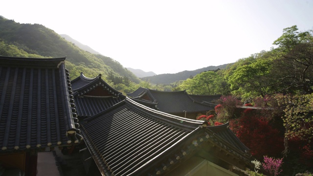 松光寺从早到晚/全罗南道顺天寺，韩国视频素材