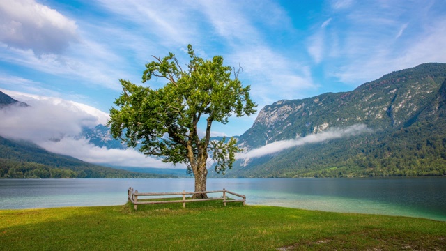 T/L游客在Bohinj湖边视频素材