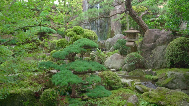 美丽的日本花园，装饰树木和锦鲤鱼塘视频素材