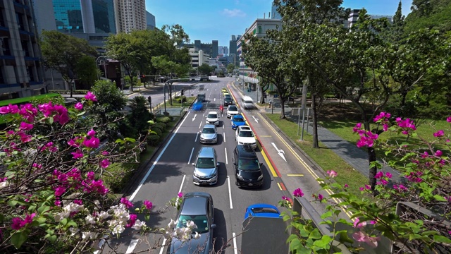 时间流逝的新加坡交通城市。街道周围有交通标志、灯和树。视频素材