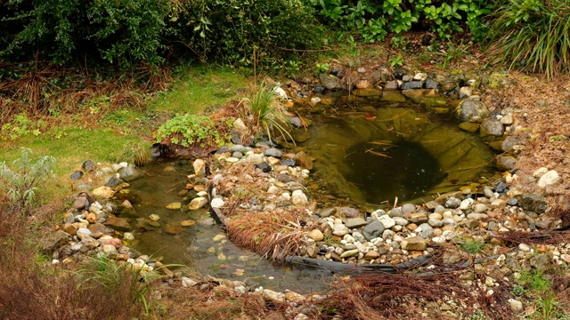 雨滴落入花园池塘视频素材