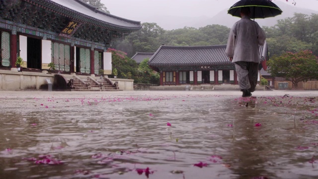 韩国全罗南道顺天寺松光沙寺大恩全殿(主楼)前院视频素材