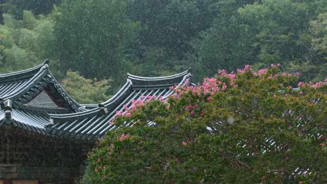 下雨天松光寺/全罗南道顺天溪，韩国视频素材