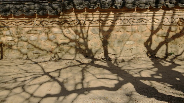 韩国全罗南道顺天寺松光沙寺墙上的紫薇影视频素材