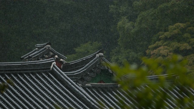 韩国全罗南道顺天寺下雨天松光沙寺屋顶瓦视频素材