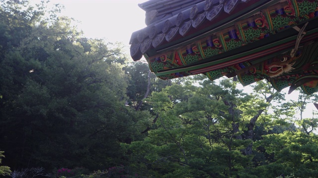 韩国全罗南道顺天寺松光寺屋檐上的飞龙视频素材