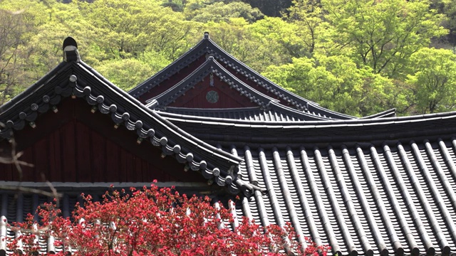 阳光照在韩国全罗南道顺天溪松光沙寺屋顶瓦上视频素材