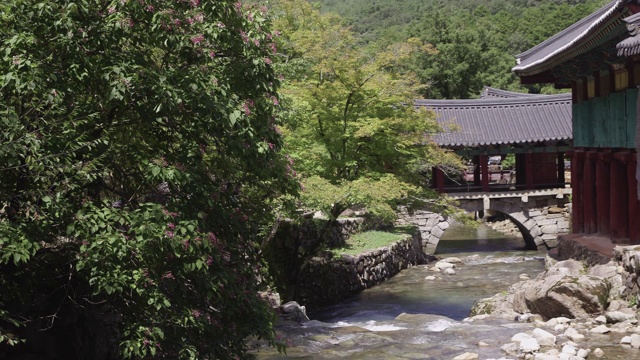 韩国全罗南道顺天溪松光沙寺的吾和加桥视频素材