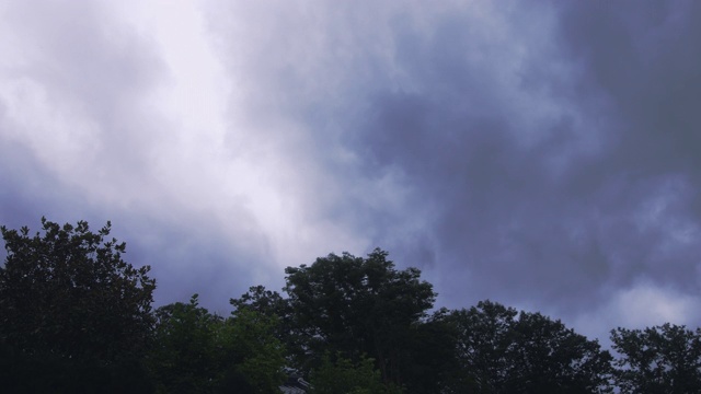 韩国全罗南道顺天溪松光寺，雨前的乌云和一棵树视频素材