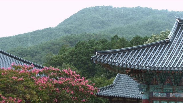 下雨天松光寺/全罗南道顺天溪，韩国视频素材