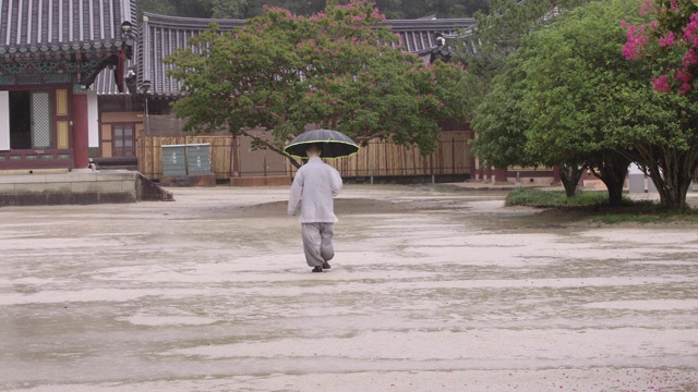 韩国全罗南道顺天寺，下雨天，佛教僧人走在松光寺前院视频素材