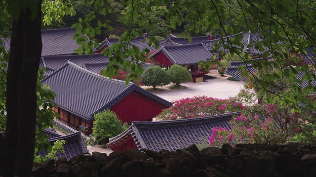 松光寺/全罗南道顺天溪，韩国视频素材