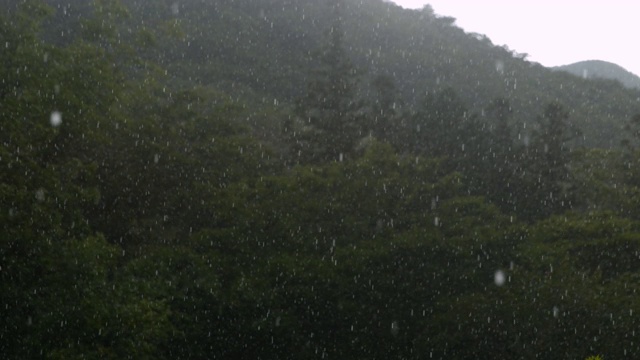 韩国全罗南道顺天溪松光沙寺的雨滴视频素材