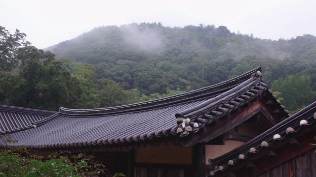 韩国全罗南道顺天寺下雨天松光沙寺屋顶瓦视频素材