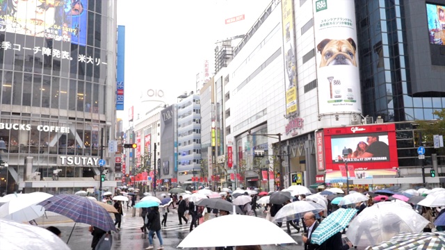 涉谷渡雨日视频素材