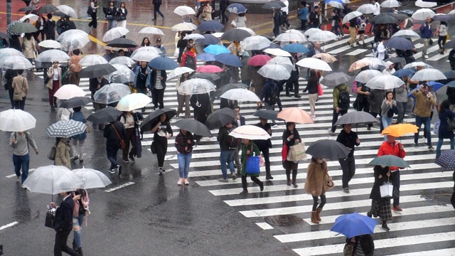 涉谷渡雨日视频素材