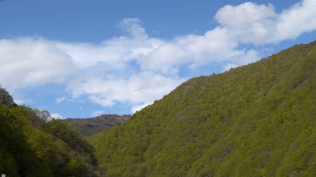 森林覆盖的山脉映衬着天空的云彩视频素材画面2
