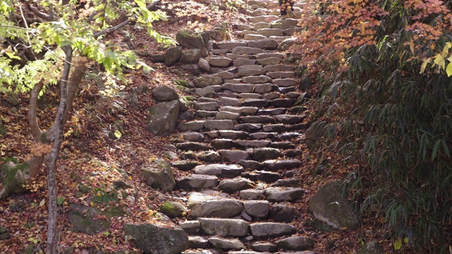 韩国全罗南道顺天寺松光寺的和尚走上台阶视频素材