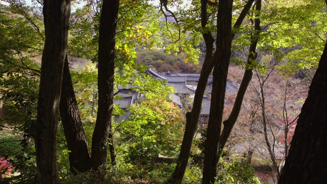 韩国全罗南道顺天溪松光沙寺的秋景视频素材