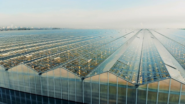 一个巨大的温室综合体的户外景观视频素材画面1