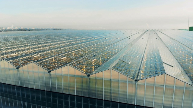 一个巨大的温室综合体的户外景观视频素材画面4