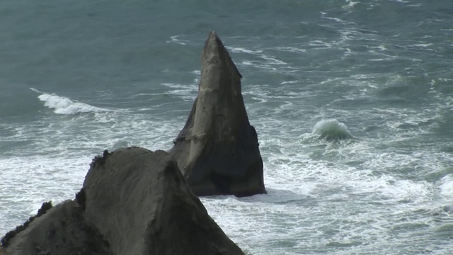 新西兰沿海地区视频素材