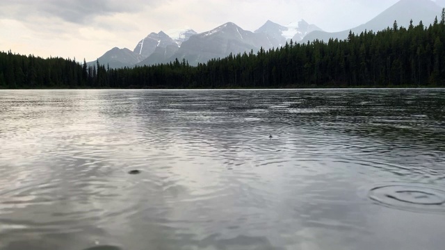 倾斜的雨水的镜头轻轻涟漪表面的山湖与森林和加拿大落基山脉的背景在贾斯珀国家公园在阿尔伯塔，加拿大视频素材