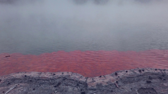 罗托鲁瓦火山湖，新西兰视频素材