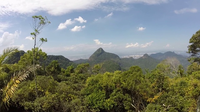 在里约热内卢的鹦鹉峰。视频素材