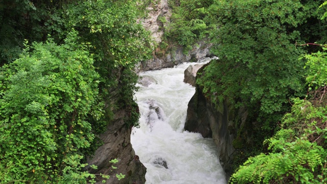 在郁郁葱葱的绿色河岸内，一条河在岩石中流过一条狭窄的峡谷。视频下载