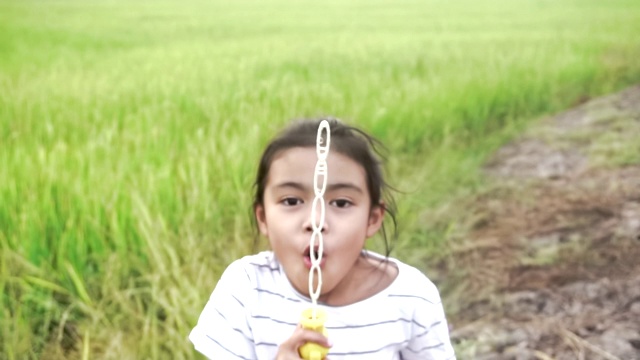 亚洲的孩子们笑着，在夏天的绿色稻田里吹泡泡，慢动作视频素材画面2