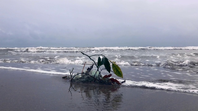 在里海的岸边视频素材