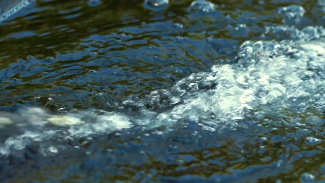 池塘里的流水以4k慢镜头60帧每秒的速度流淌视频素材