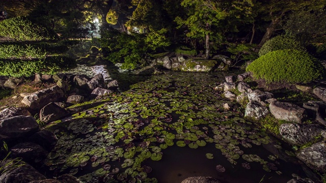 大兴寺Muyeomji池之夜/全罗南道韩莲郡三山米视频素材