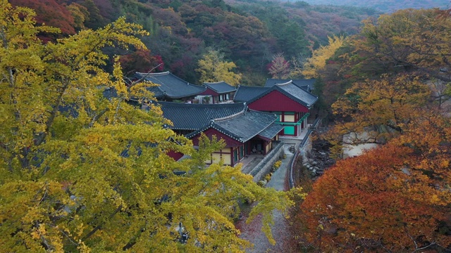 大兴寺秋季/全罗南道韩郡三山明视频素材