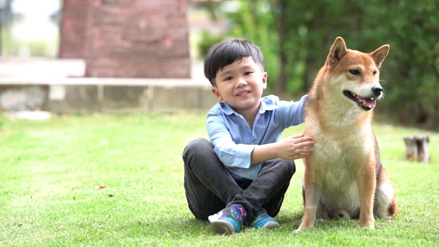 一个男孩在公园里和一只柴犬玩耍。视频素材