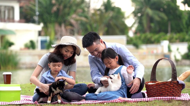 一个亚洲家庭在和一只柴犬玩耍。家里有爸爸、妈妈、儿子、女儿。在花园里野餐。视频素材