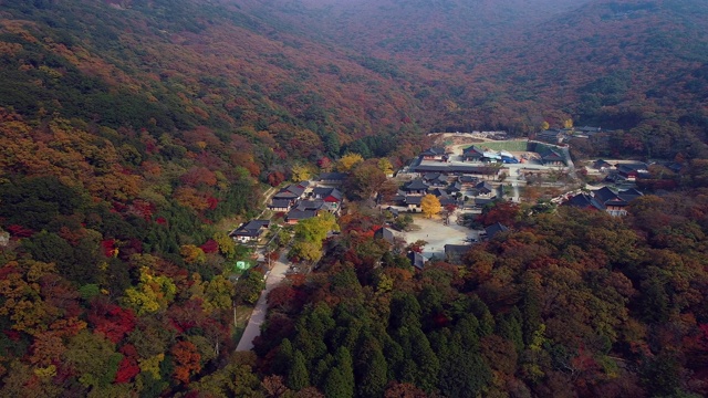 韩国全罗南道韩莲郡秋季都云山大兴寺/三山明视频素材