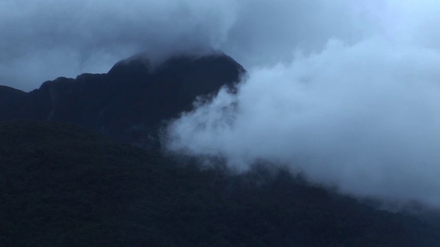 新西兰峡湾视频素材