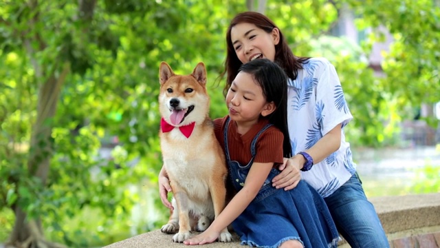 夏天，妈妈和女儿们在公园里和日本柴犬玩耍。视频素材