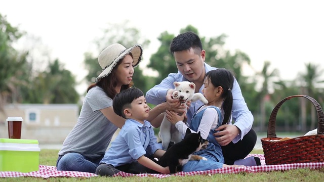 宠物情人。一个亚洲家庭在和一只柴犬玩耍。家里有爸爸、妈妈、儿子、女儿。在花园里野餐。视频素材